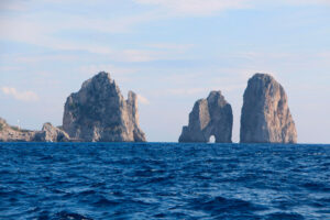 Scopri di più sull'articolo La Lucertola Azzurra di Capri: un tesoro naturale unico