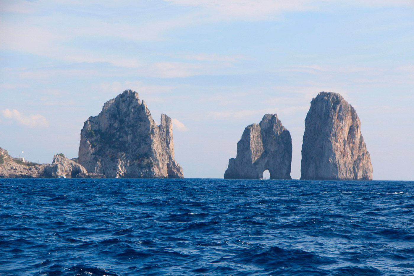 Al momento stai visualizzando La Lucertola Azzurra di Capri: un tesoro naturale unico